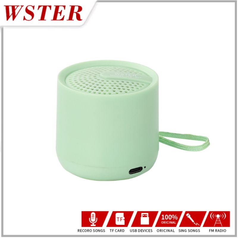 WSTER Original Mic Karaoke microphone Bluetooth wireless WS-307