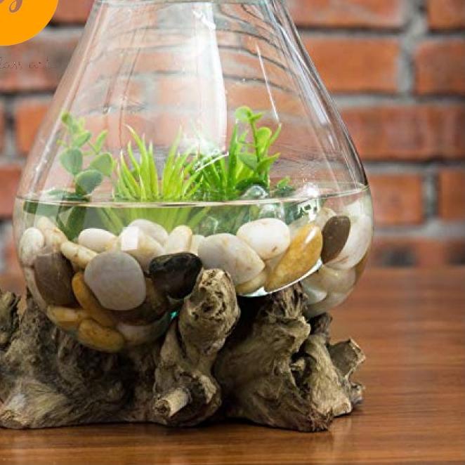 Discount-Size M Aquarium Ikan Cupang/Kaca Tiup/Fas Vas Bunga Kaca Aquascape Aquarium Alas Kayu Pot