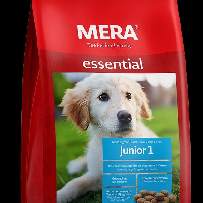 

MERADOG JUNIOR 1