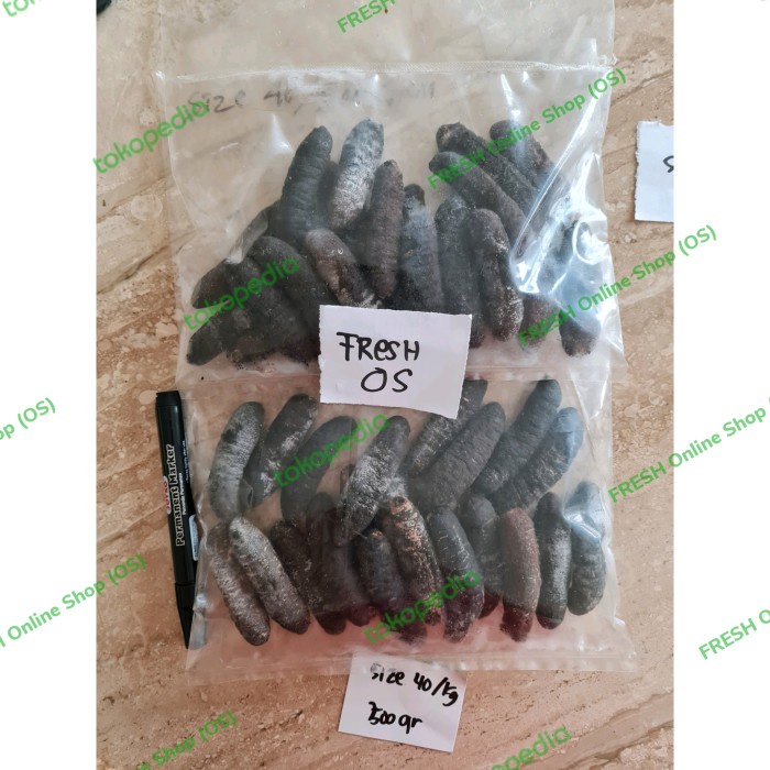 

hai som haisom hoisem teripang tripang gosok belitung 1kg isi 40-42