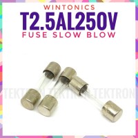 Wintonics Fuse 2.5A 250V T2.5AL250V sekring skring sikring 5x20mm
