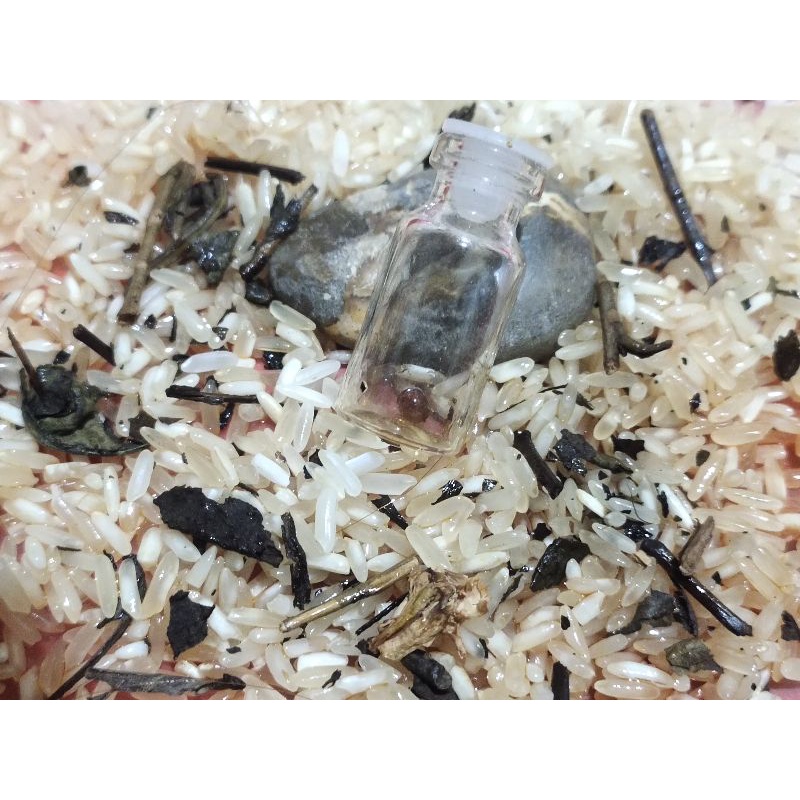 Batu mustika merah lipan sirr alam asli temuan sepuh kuno antik pusaka