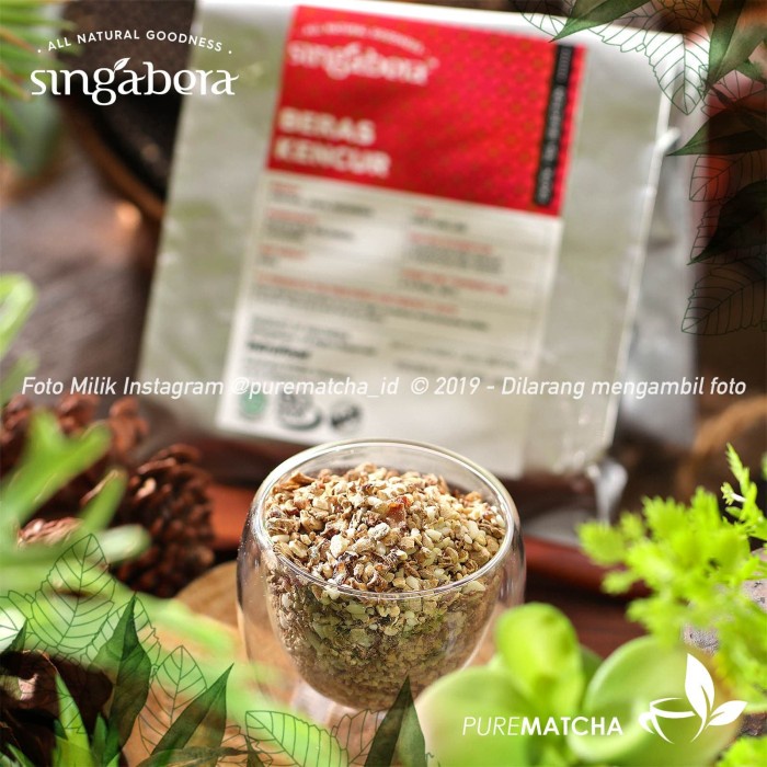 

Singabera - 10Gr Sample Jamu Drink Indonesian Galangal