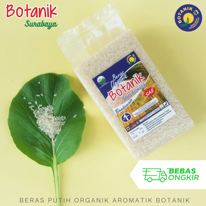 

Putih Aromatik Panwangi Organik - Ik Surabaya