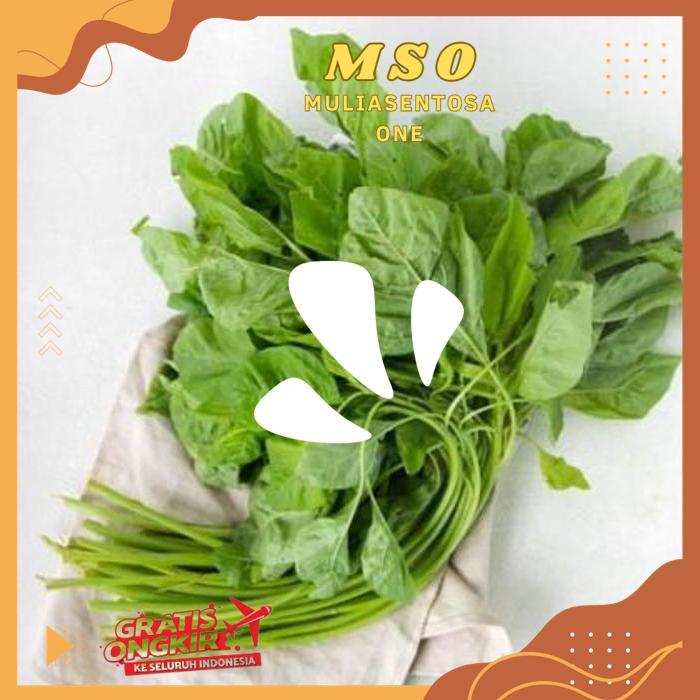 

BAYAM HIJAU 250 - 300 GR HIGHT QUALITY PRODUK !!