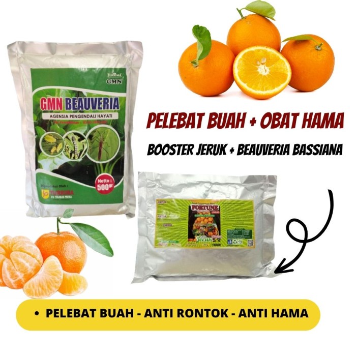 Pupuk Organik Jeruk & Obat Hama Tanaman Jeruk, Pupuk Jeruk Cepat Buah