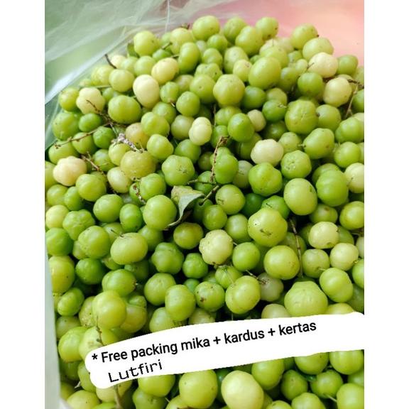 

Ready buah ceremai segar fresh 500 gram 1kg asem langsung dari pemetik nya seger ceremei ceramai ceramay cereme cermai cermay