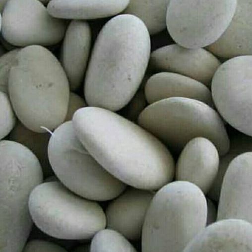 Batu Putih Besar Dekorasi Taman (100 Gram)
