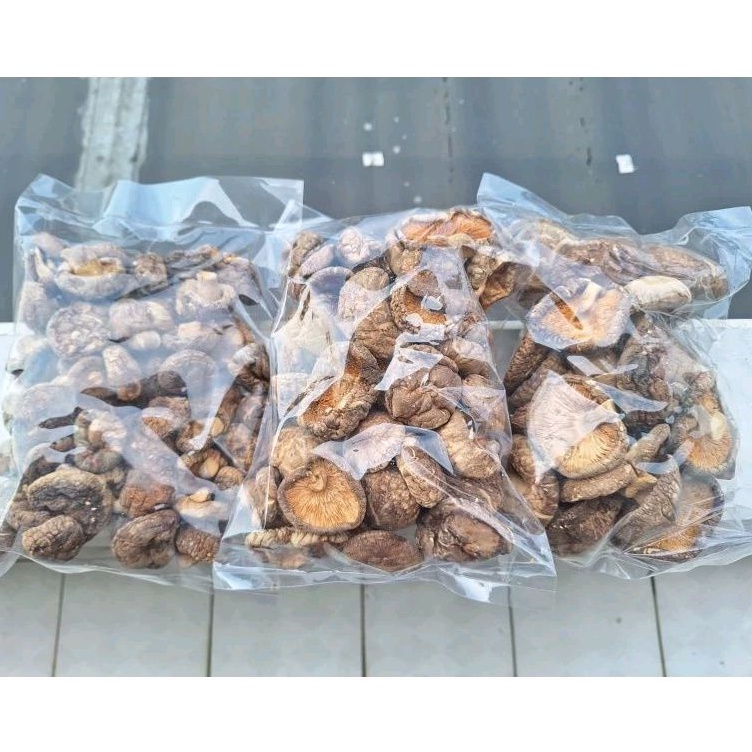 

Jamur Shiitake - Hiokou Mentah IKPS 250 gr ukran D 3-4-5-6-8 cm