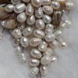 Bros Sultan Big Size Mutiara Air Tawar Lombok + Kerang + Box