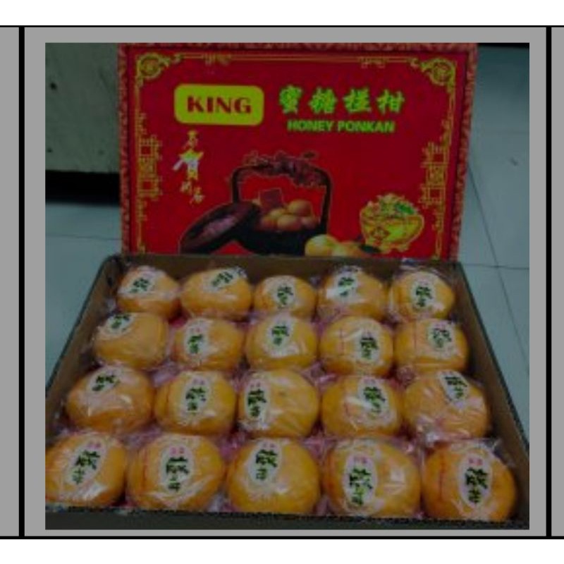 

jeruk ponkam king isi 60 Imlek 2024