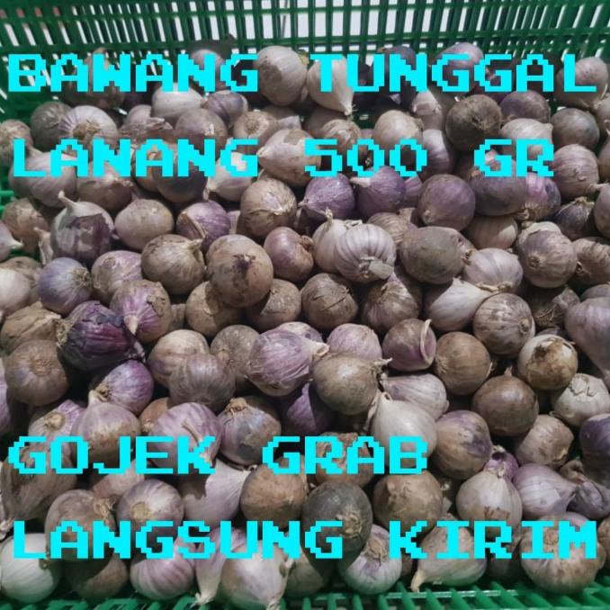 

BAWANG PUTIH TUNGGAL/BAWANG LANANG 500GRAM