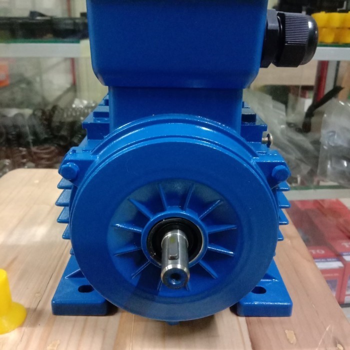 [New] Dinamo 1/4 Hp/0.25Kw 3Phase Diskon