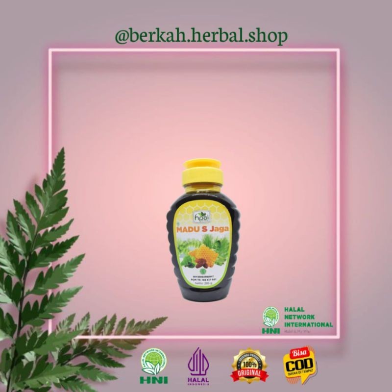 

Madu SJ HNI HPAI // Madu