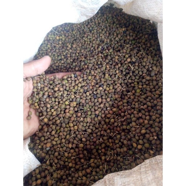 

Mazin - Asli Buah Makasar Kering/Malur Kering/Kwalot Kering Original 1Kg Ready