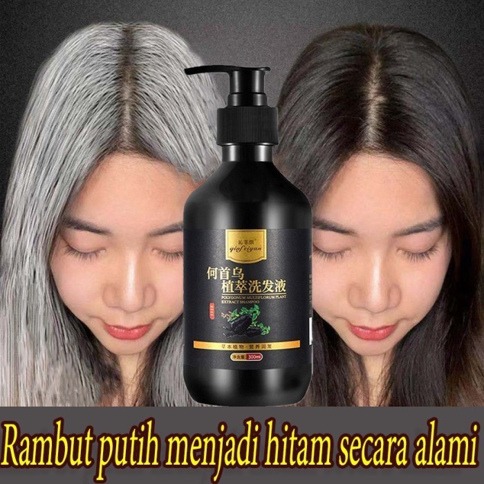 Terbaru Sampo Herbal Polygonum Sampo Hitam Sampo Nutrisi Sampo Agar Rambut Promo Terlaris