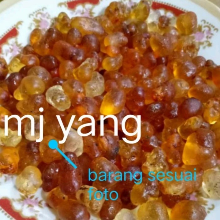 

PEACH GUM PREMIUM/ TAU JIAO 500GRAM