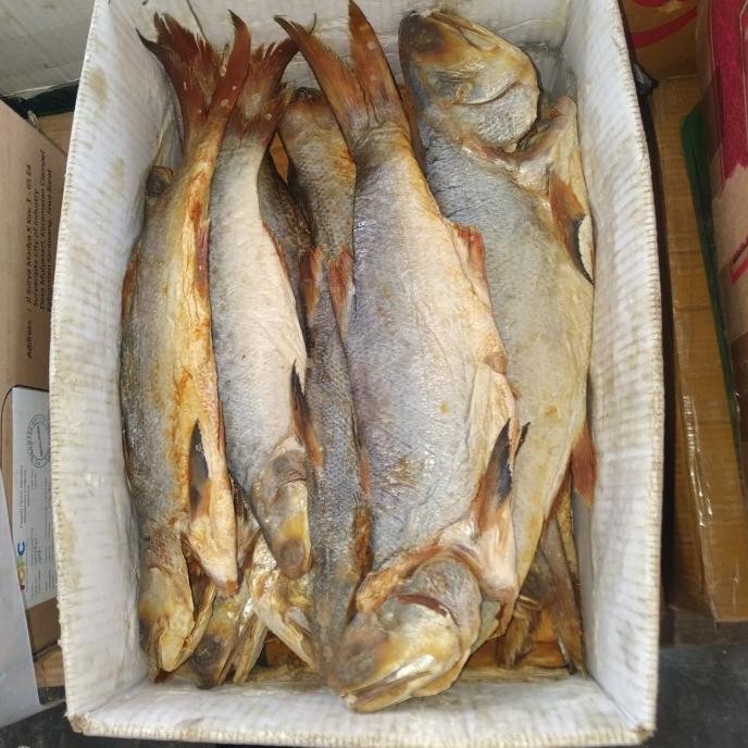 

ikan Asin kuro es qualitas export 500gr