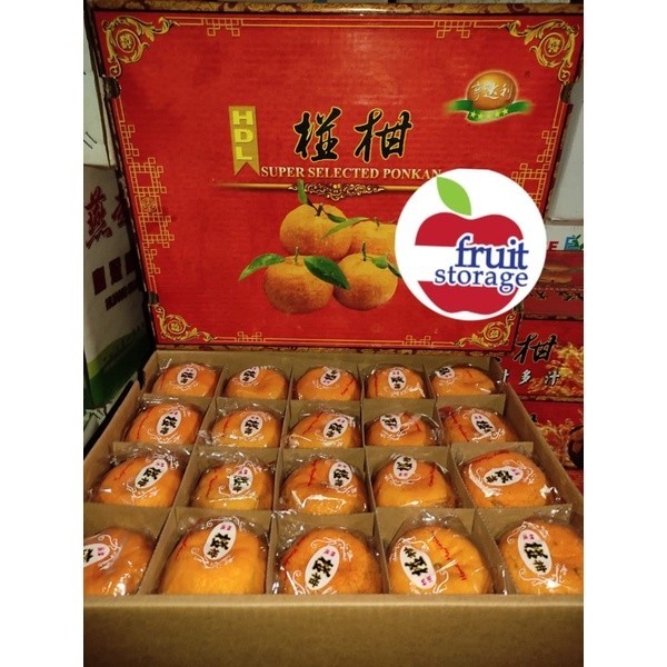 

IWB JERUK PONKAM HDL PREMIUM HAMPERS GIFTPACK ISI 40 PCS BUTIR BUAH SEGAR FRESH ANGPAO CNY CHINESE
