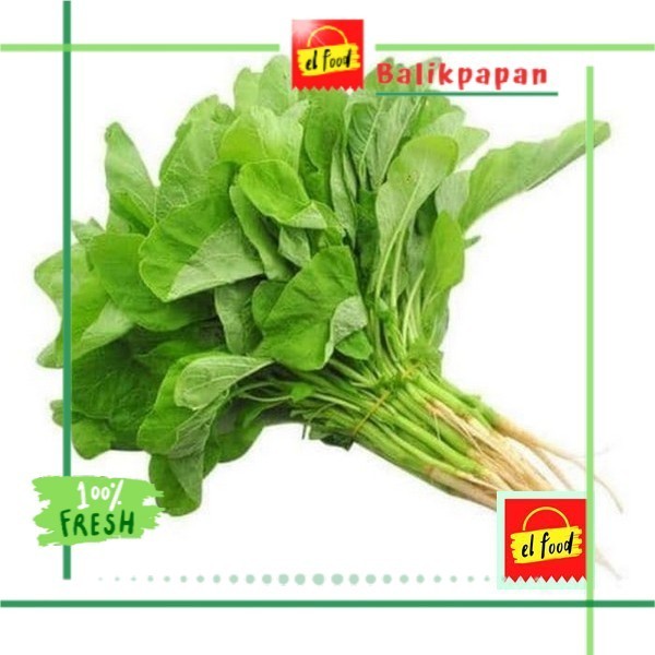 

BAYAM HIJAU ±750gr/ikat /ELFOOD/Sayur Daun/Sayuran