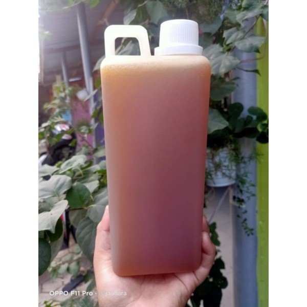 

MADU MURNI HUTAN SUMBAWA 1 LITER SILAMO MADU MADU HUTAN SUMBAWA BERKHASIAT DAN NIKMAT MADU UNTUK
