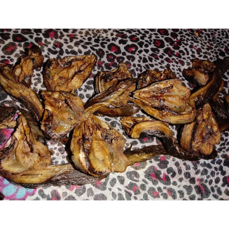 

ikansalailelepasamanparitbatuladangpanjang tigonagari