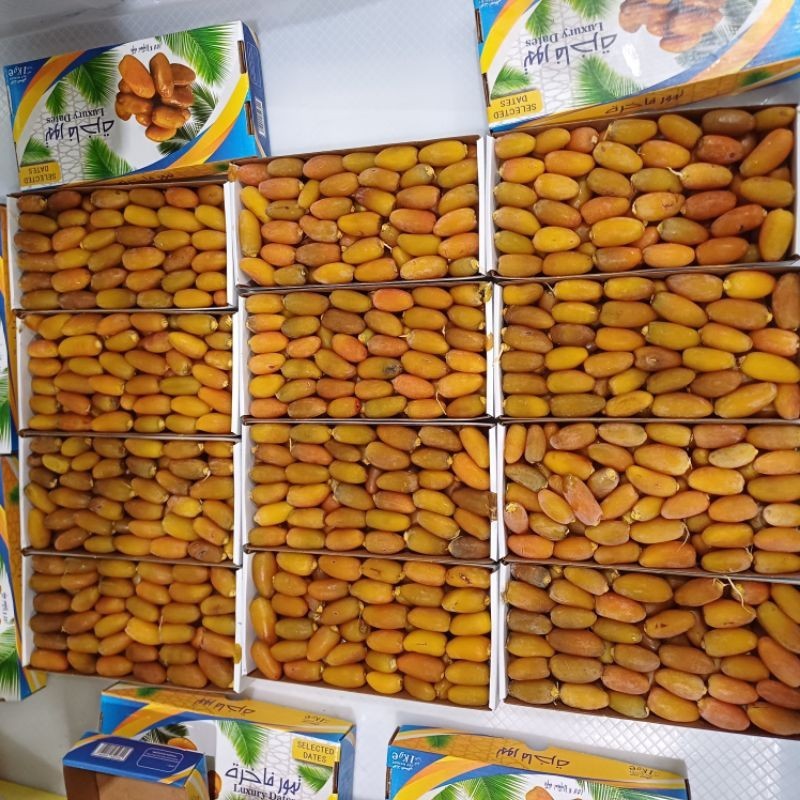 

KURMA RUTHOB LIBYA 1KG KURMA SETENGAH MATANG PANEN
