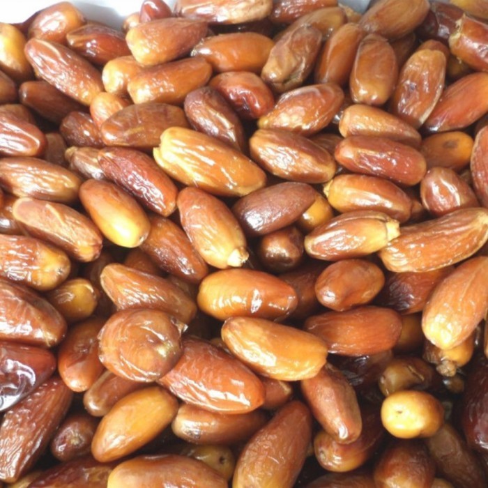 

Kurma - Kurma Tunisia Madu 10 Kg Murah Non Tangkai Najwa