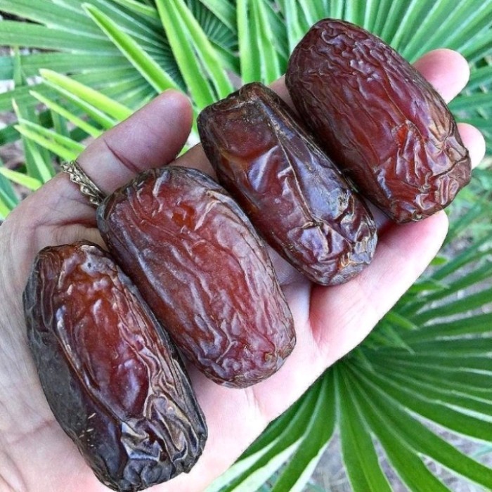 

Kurma - Kurma Medjol Jumb 1Kg Palestina / Kurma Medjool Palestina 1 Kg Murah