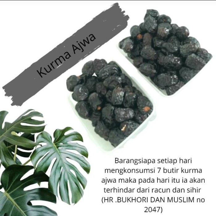 

Kurma - Kurma Ajwa Super 550Gram