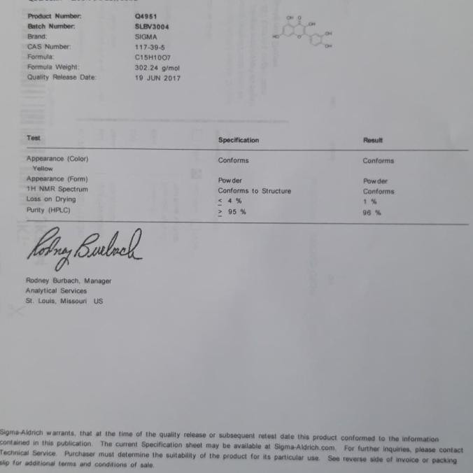 Kekinian Quercetine Sigma/Quercetin/Quersetin/Quersetine/Kuersetin/Kuersetine ..