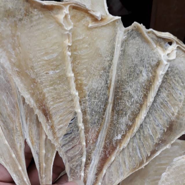 

Ikan Pari Tipis Medan 250gr