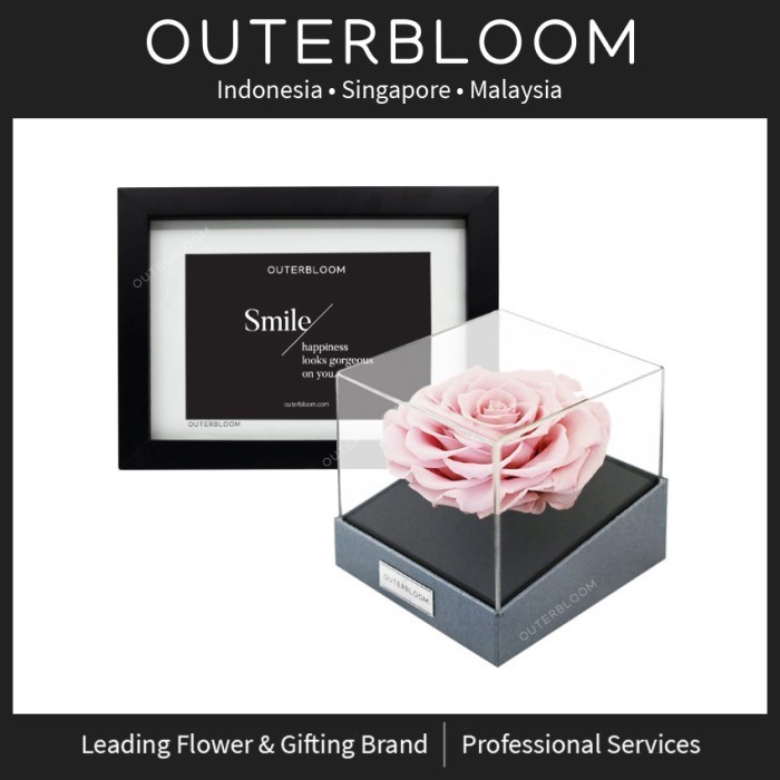 Hadiah Valentine - Astoria Momento - Innocent Pink