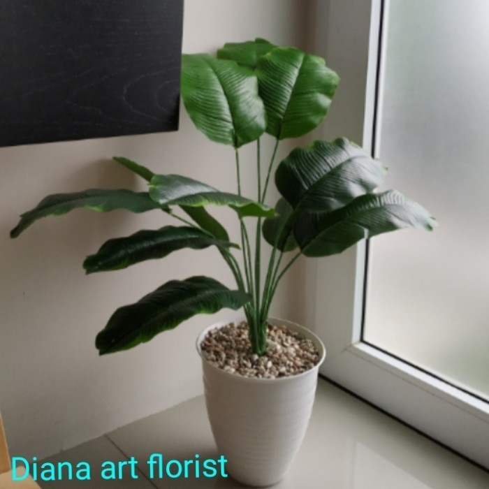 pohon hias#pohon pisang hias#pisang tiruan/tanaman artificial