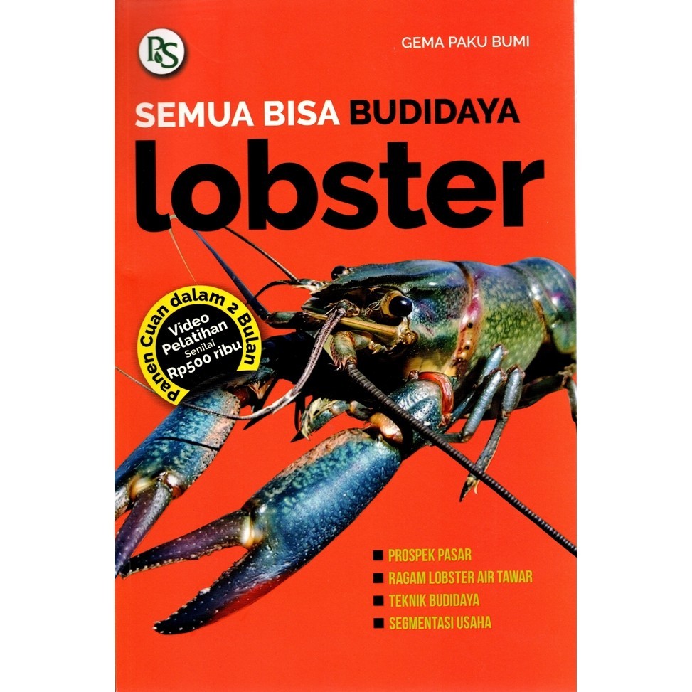 Semua Bisa Budidaya Lobster