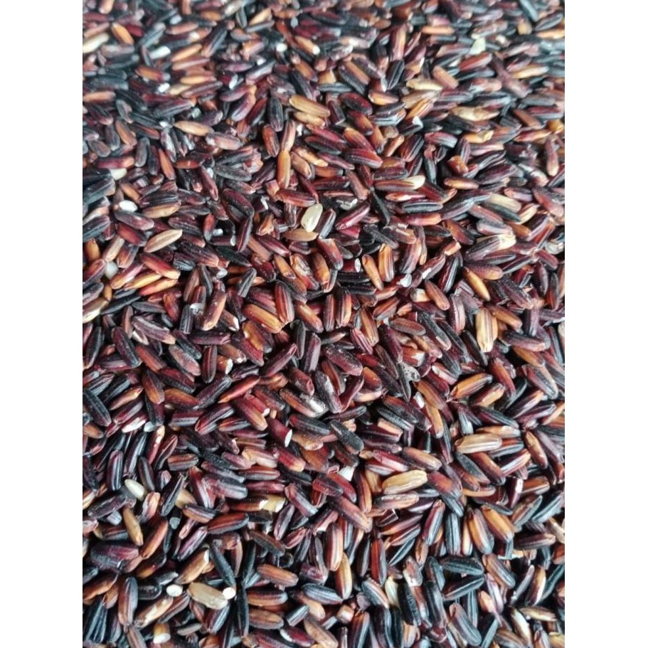 

Beras Diet Beras Hitam/Beras Diabets 2kg Organik SS
