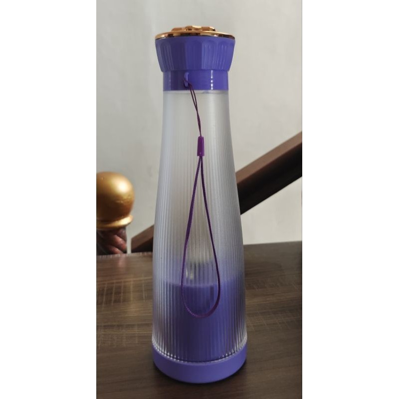blender juicer mini