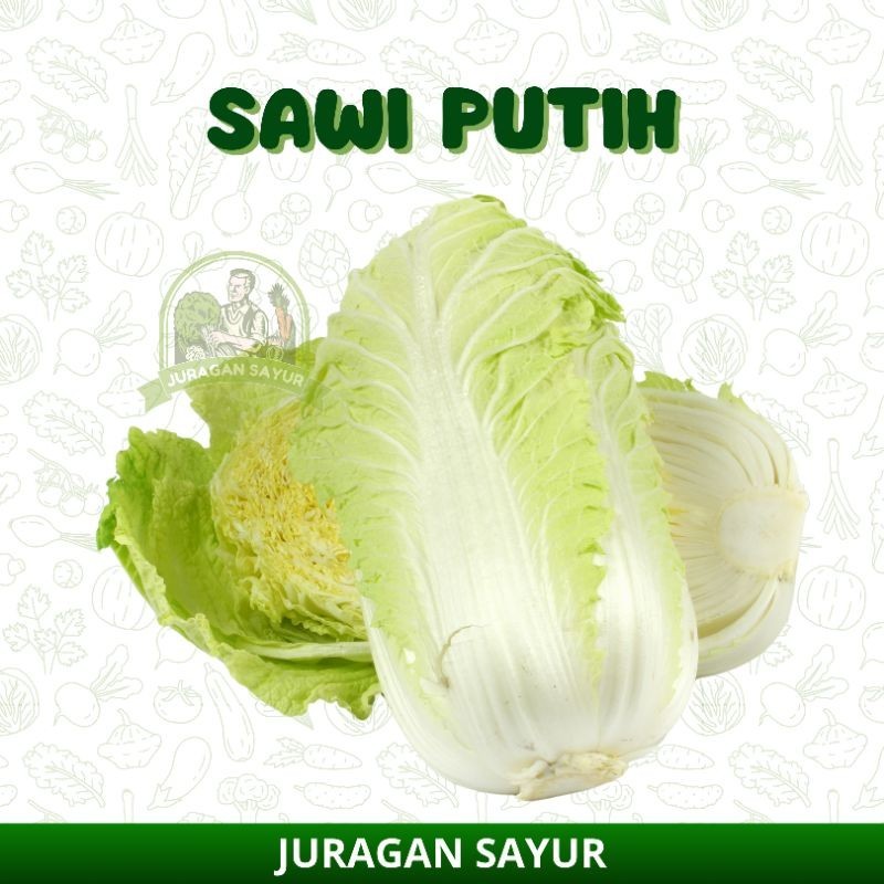 

SAWI PUTIH 1 BUAH