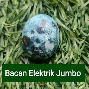 Bacan Doko Blue Elektrik Jumbo Kristal Kaca super