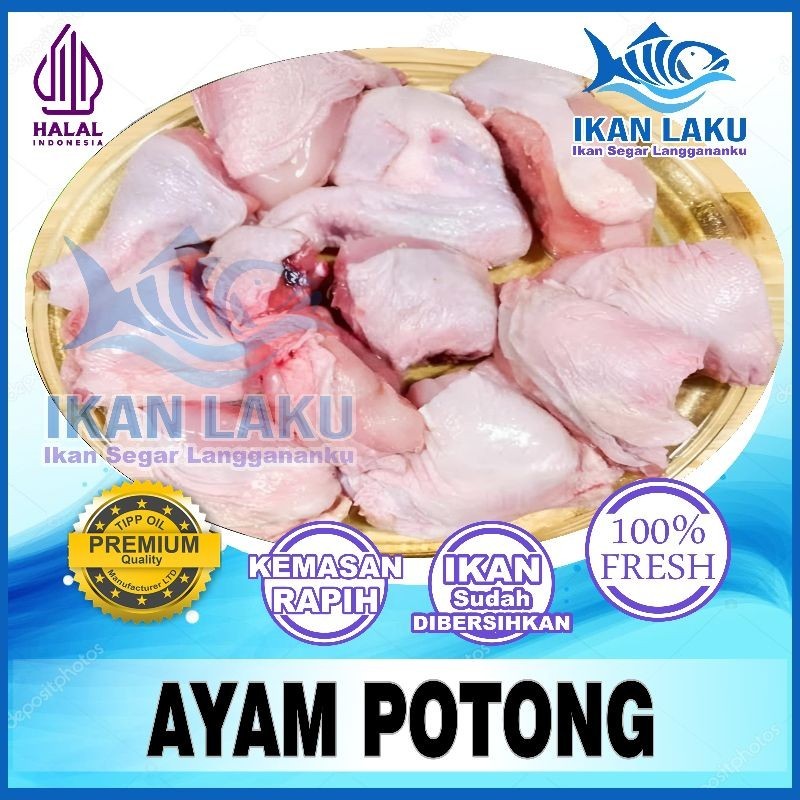 

AYAM UTUH | DADA | PAHA | CEKER {CIKARANG-TAMBUN} PREMIUM FRESH TERMURAH BERGARANSI IKAN LAKU IKAN SEGAR IKAN BEKU