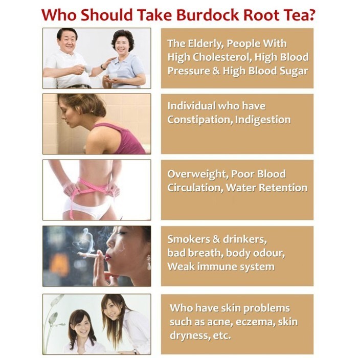 

Gobo Tea : Burdock Root Tea Detox, Digestive & Diabetes (30 Tea Bag)
