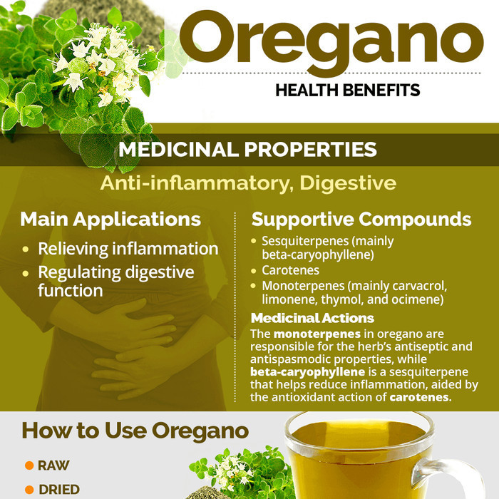 

Oregano Leaf Tea : Pure Oregano Leaves Tea (30 Tea Bag)