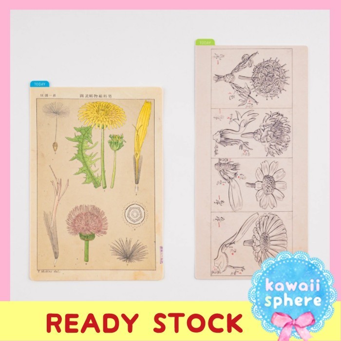 

Wow Hobonichi Pencil Board / Underlay | Tomitaro Makino Botanical Bergaransi