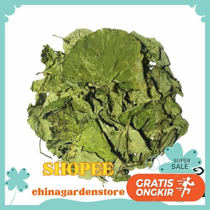 

DAUN PEGAGAN KERING / DRIED GOTU KOLA / CENTELLA ASIATICA KUALITAS PRODUK TERBAIK