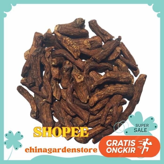 

TEH AKAR DANDELION PREMIUM / DRIED DANDELION ROOT TEA 500 GRAM TERMURAH