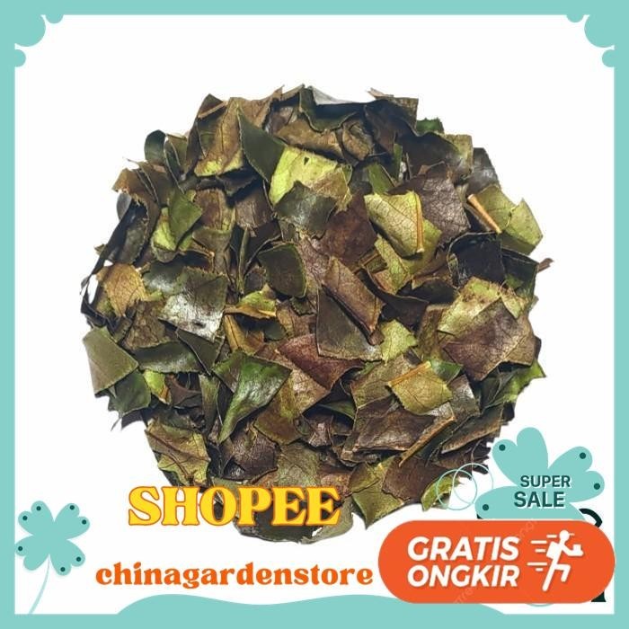 

DAUN SIRSAK KERING / DRIED SOURSOP LEAF TEA 50 GRAM TERBAIK