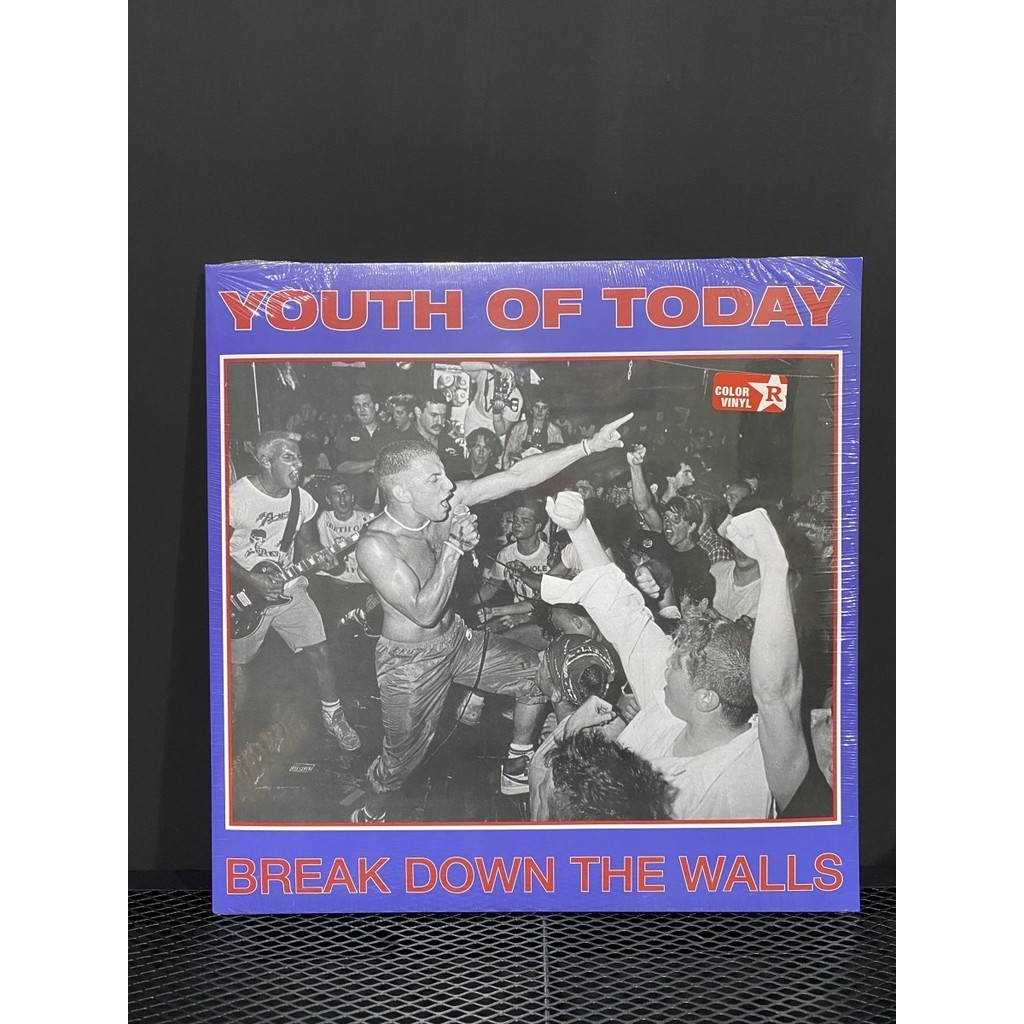 OFFICIAL YOUTH OF TODAY - BREAK DOWN THE WALLS VINYL LP