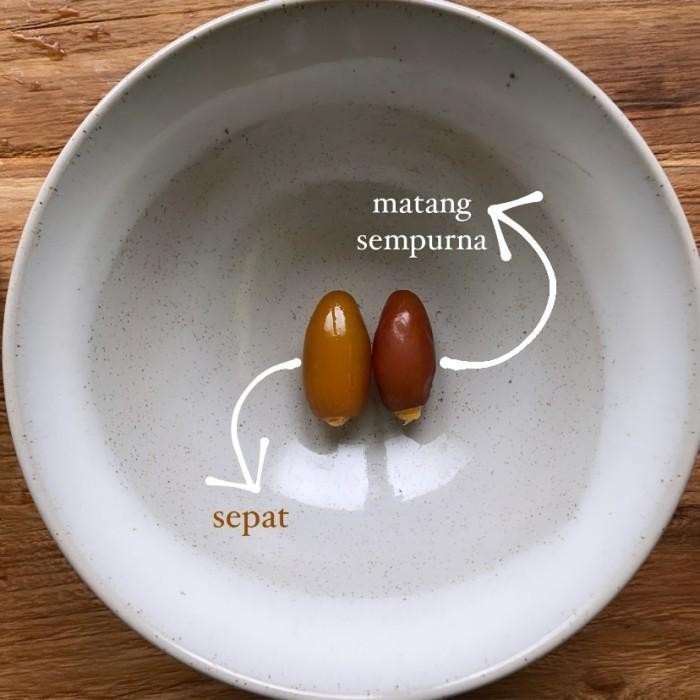 

Ruthob Deglet Dates El Mardhiyyah Kurma Ruthab Matang Basah Segar