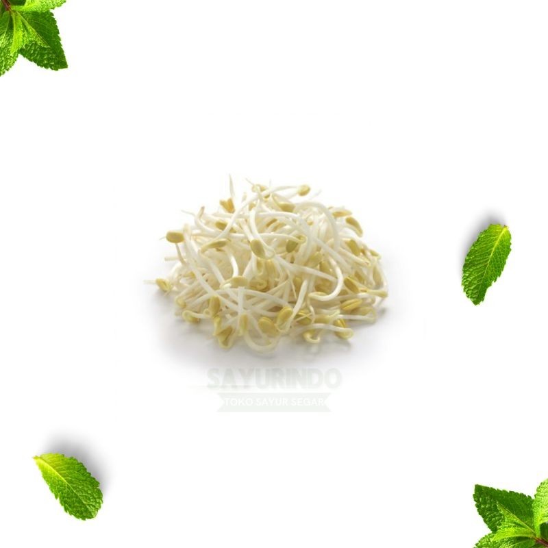 

Tauge Segar 500gram