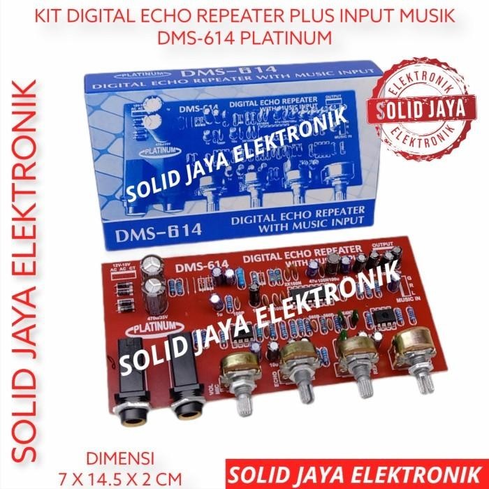 KIT DIGITAL ECHO REPEATER PLUS MUSIK INPUT DMS-614 DMS614 PLATINUM